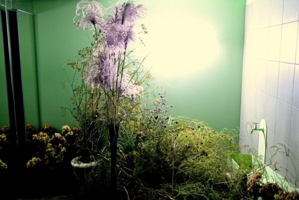 476351723_3399314153538347_560317018138529968_n