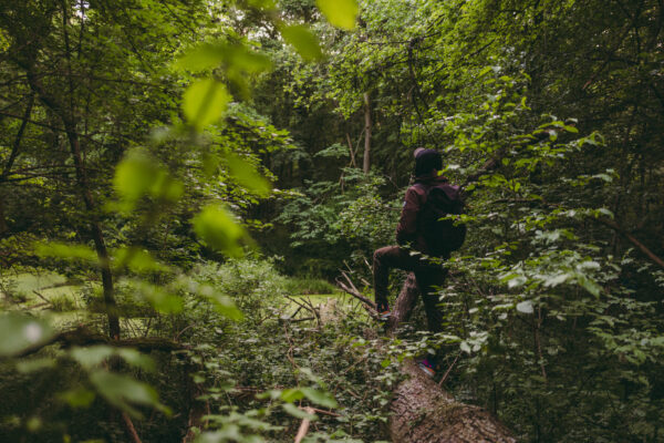 481154751_1053846453446828_1080326486073760820_n