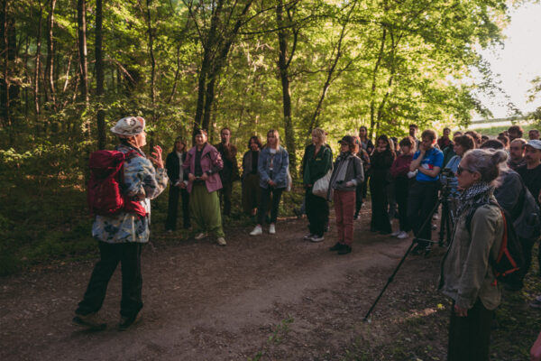 481217675_1053846610113479_7737505716743027734_n