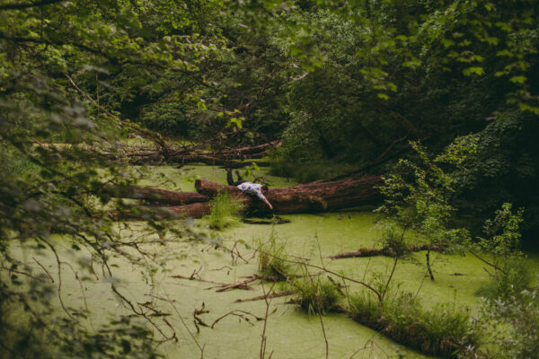 481224438_1053846606780146_3850362586297962672_n