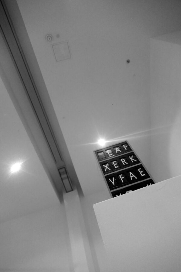 61971391_1543628505773597_626952417899970560_n