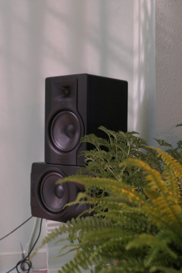 71379810_1650061365130310_7890341465237225472_n