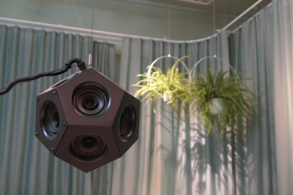 71470762_1650062371796876_4228285287324712960_n