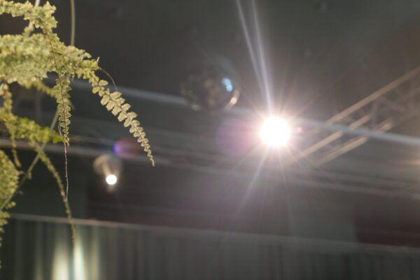 71546348_1650061475130299_8402914802350948352_n