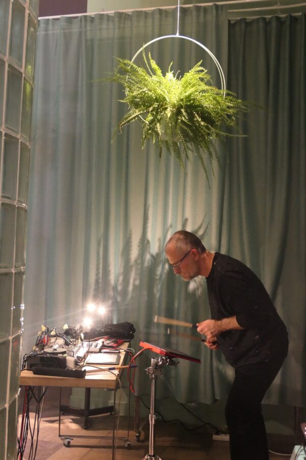 71559573_1650062831796830_4409235317521907712_n