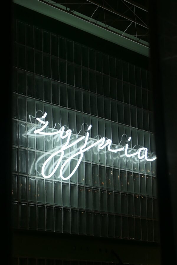 71765999_1650061785130268_6855104379528151040_n