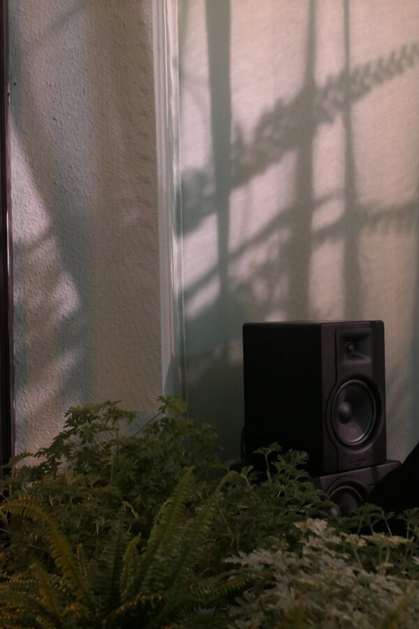 72052182_1650061188463661_5286349149254451200_n