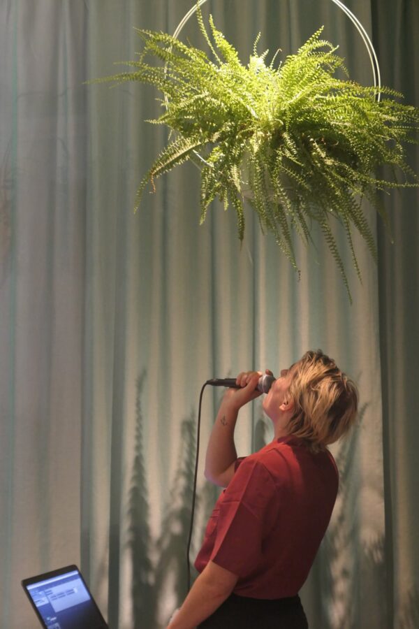 72304328_1650065641796549_4824659642611138560_n