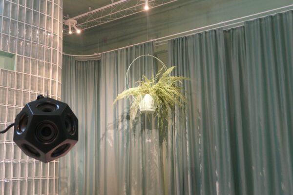 72392428_1650063415130105_8253109366723444736_n