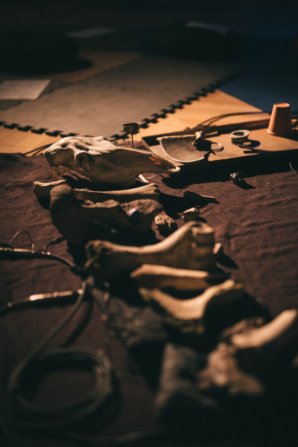 canti_12.10.25_fot_jerzyywpych-4