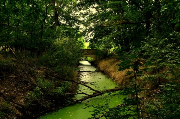 475898730_3397879410348488_5089943828109279850_n