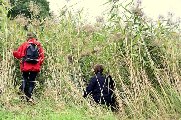 476101442_3397879433681819_4356405250528227635_n