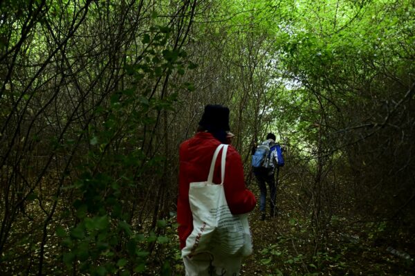 476237403_3397879407015155_4119323997681652433_n