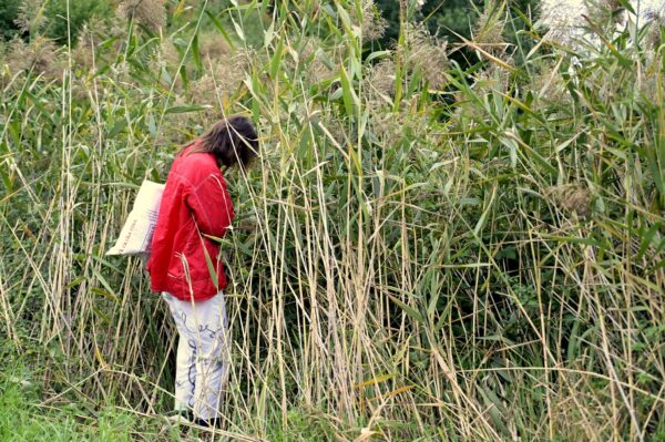 476611211_3397879440348485_3830535392670178619_n