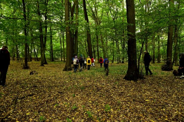 476613578_3397880893681673_8274310145267290732_n