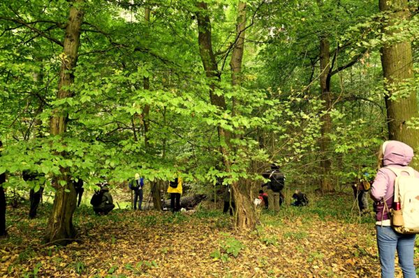 476613960_3397880900348339_8111337456314633635_n