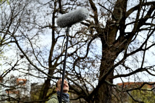 484855213_3441820052621090_1442373980415693398_n